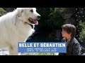 Belle et sbastien 2 laventure continue  19 dcembre 2020 sur m6  bande annonce