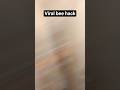 Bro took it seriously #funny #viral #trending #bee
