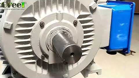 100KW 100rpm 250rpm 300rpm 500rpm 600rpm 1500rpm 1800rpm Permanent Magnet Generator/Alternator