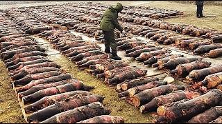 60 unglaublichste Funde, die auf Kamera festgehalten wurden!