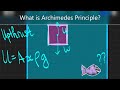 Understanding Archimedes' Principle