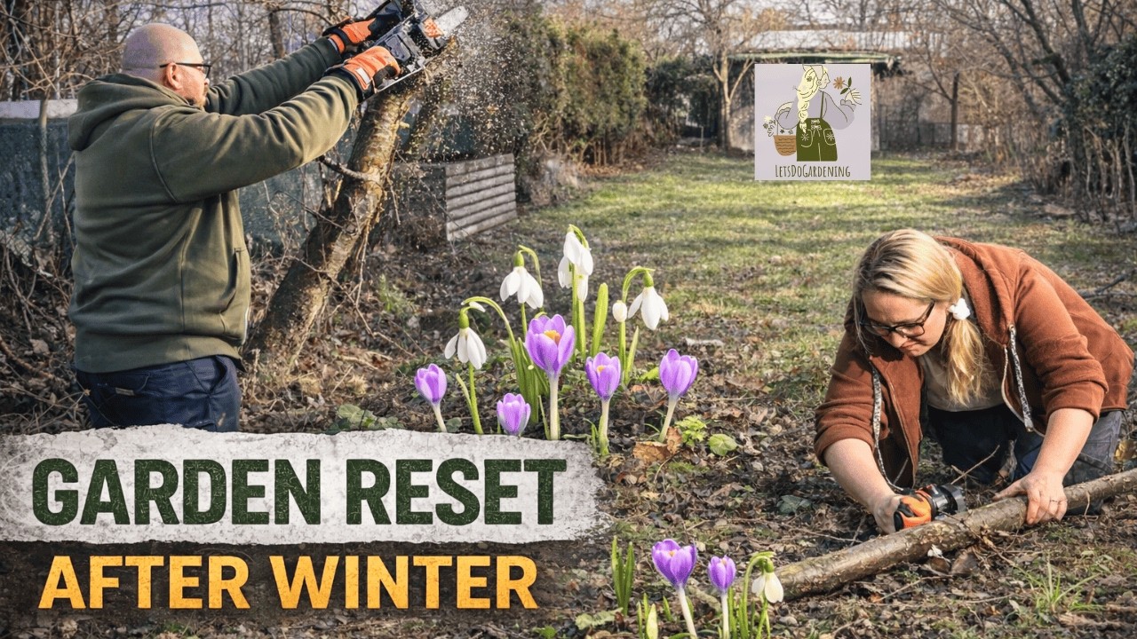 Garden Reset After Winter in Austria – Pruning Fruit Trees & Cutting Thujas | Natural Sounds