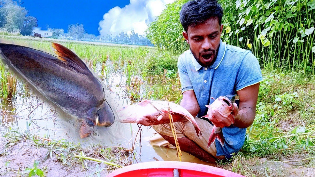 Amazing Easy Fish Trap | Unique Easy Fish Trap System