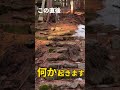 ※偶然ではない※ここに来た時点で流れは変わる|長野・赤坂神社の強運覚醒波動 #遠隔参拝 #パワースポット神社 #赤坂神社 #開運 #強運 #金運 #仕事運 #願望成就 #運気上昇 #スピリチュアル