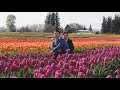 Wooden Shoe Tulip Farm Oregon Wooden Shoe Tulip Farm Oregon