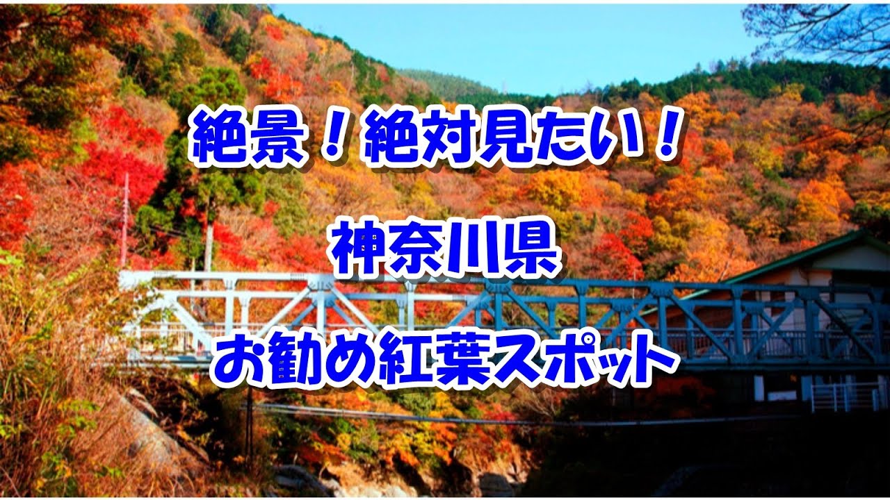 神奈川県 絶景 絶対見たい お勧め紅葉スポットまとめ Youtube