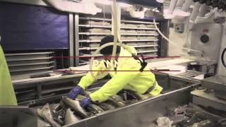 Alaska cod Frozen at Sea - Harvest and Production