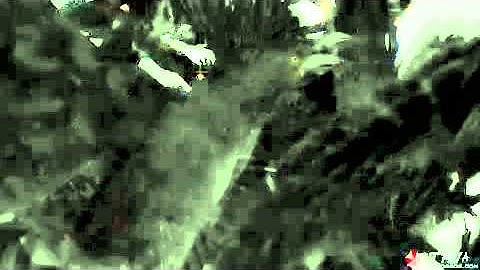Resident evil 5 beta