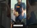Aaloo sala bokachoda 🤬I am back guys 👋🥲#youtubeshorts #dailycanvas #funny #shorts