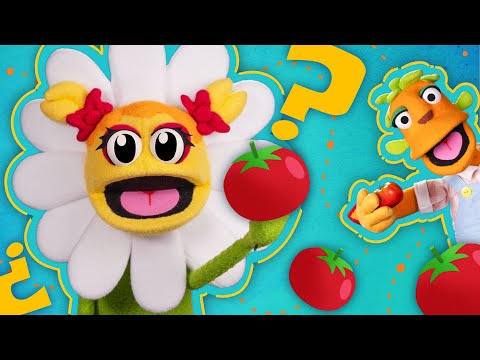 O tomate 🍅 é uma fruta? GARDEN ACADEMY🌷 NOVO EPISÓDIO GARDEN ACADEMY🌷