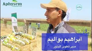يوم تحسيسي لشركة أفيسام حول زراعة البطيخ الأخضر صنف ساپيانو بمنطقة عين فلفل نواحي حد أولاد جلول