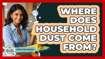 Where Does Household Dust Come From? - Homekeeping Handbook