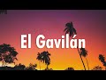 Luis R Conriquez, Tony Aguirre, Peso Pluma - El Gavilán (Letra)