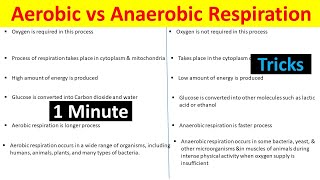 Aerobic vs Anaerobic Respiration: Understanding the Differences @BiologyLectures