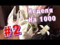 НЕДЕЛЯ НА 1000 РУБ часть 2