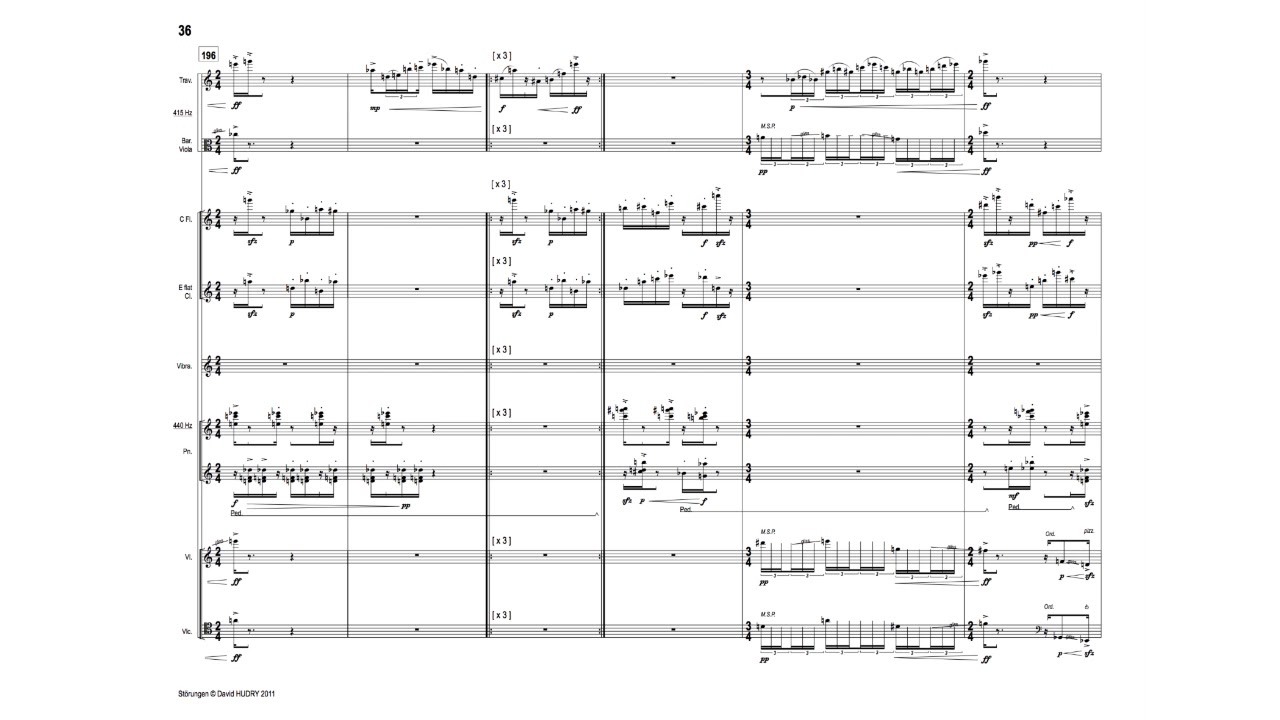 David Hudry : « Störungen » (2011) - Extrait n° 4