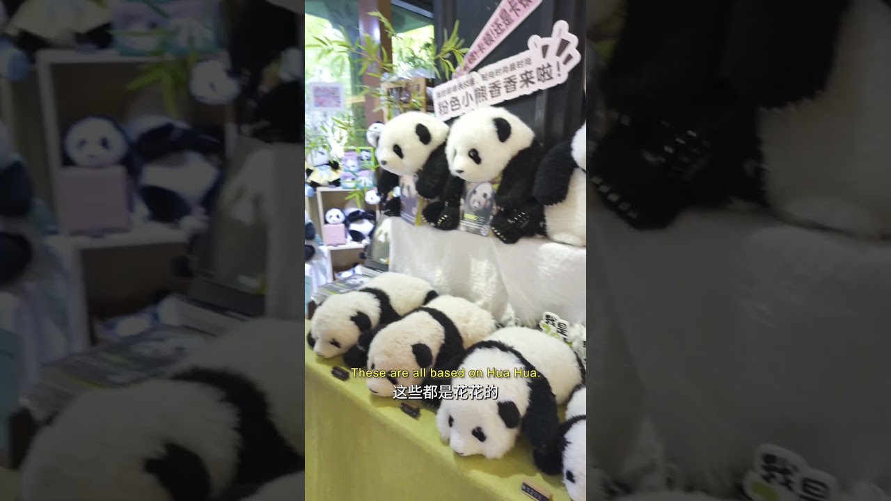The Best Chengdu Souvenir Isn't Just a Panda. It's THE Panda.中文翻译: 最好的成都纪念品不止是熊猫，是“这只”熊猫。