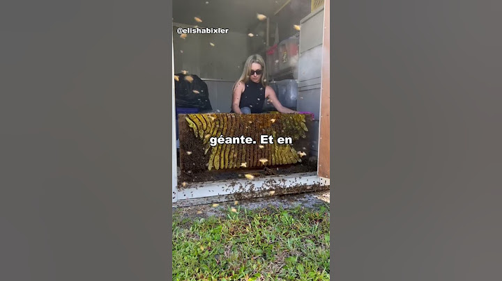 Elle enlève une ruche à mains nues… Ce qu’elle découvre à l’intérieur est fou !