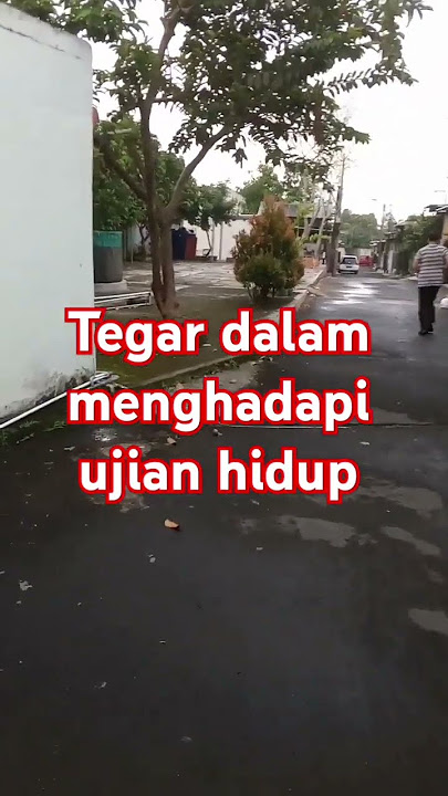 Tegar @willyyopichannel9681 #motivasi #quotes
