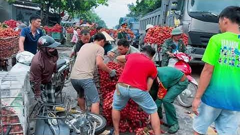 Nét đẹp của người lính mùa Vải Thiều Lục Ngạn - Bắc Giang , đúng với câu nói đi dân nhớ ở thì dân