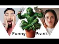 Bushman prank almost fainted funniest reactions 2024