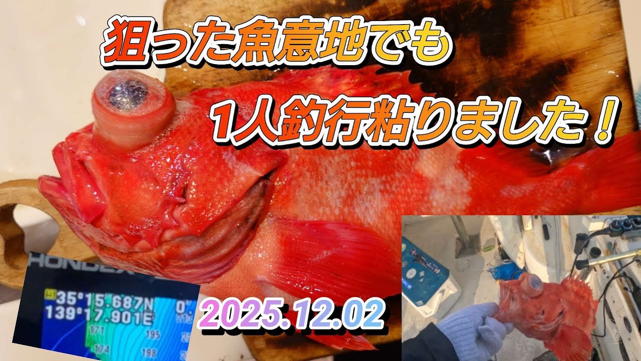 ５００㍍以上10本針は1人出船でないとなかなかできない小型プレジャーボートでアコウ（メヌケ）狙いで粘ります。出船トラブルに見舞われ遅れましたが、1人なのでのんびり開拓しながら、アコウを狙いました。