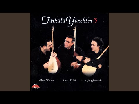 Bul Getir (Tabib
