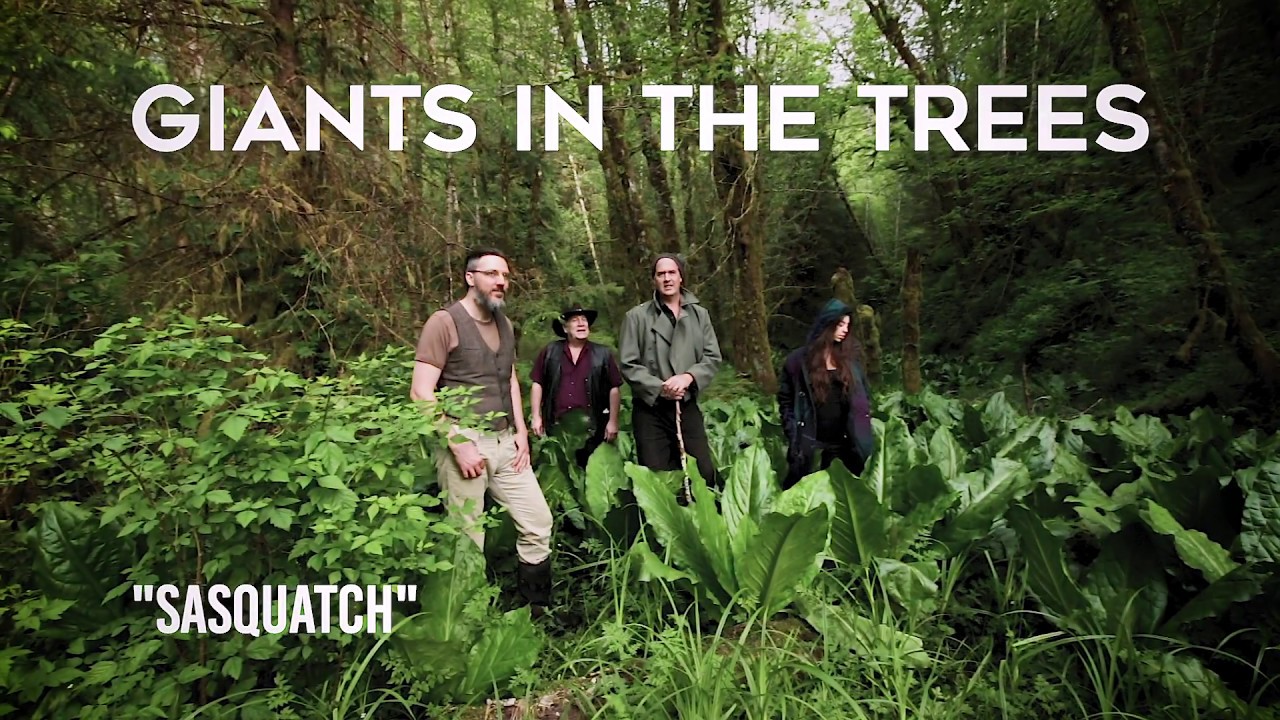 Giants in the Trees   Sasquatch Official Video