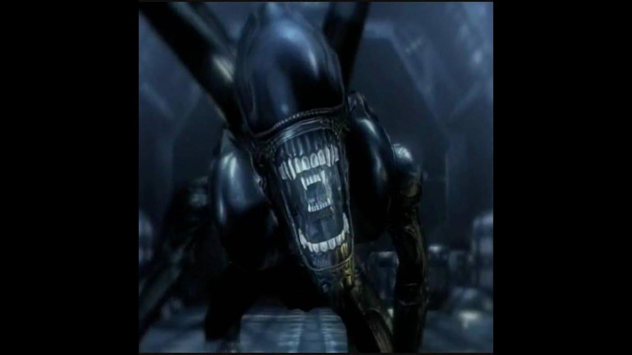 Alien vs predator 2010 marines. Чужой против хищника режиссерская версия. Чужой хищник 3. Чужой хищник 3. Aliens vs predator 2010 геймплей.