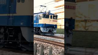 EF652083 タキ　電機機関車　国鉄特急色　高崎線　貨物　2023年12月30日