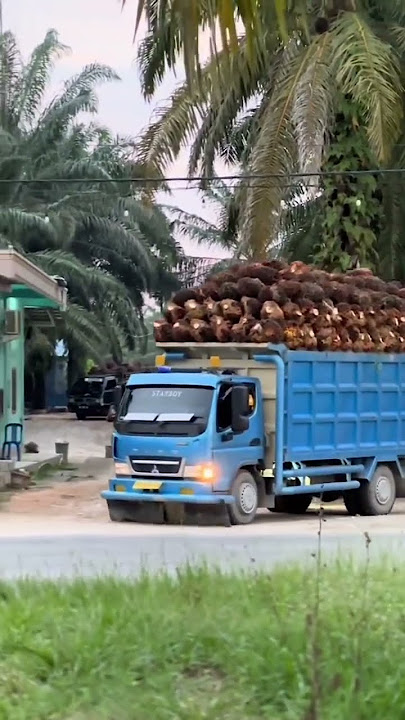 story truk sawit #truk_mbois #driverstory #storywa #canter #truck