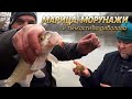 МАРИЦА, МОРУНАЖИТЕ и тънкости за риболова с БОЛОНЕЗА