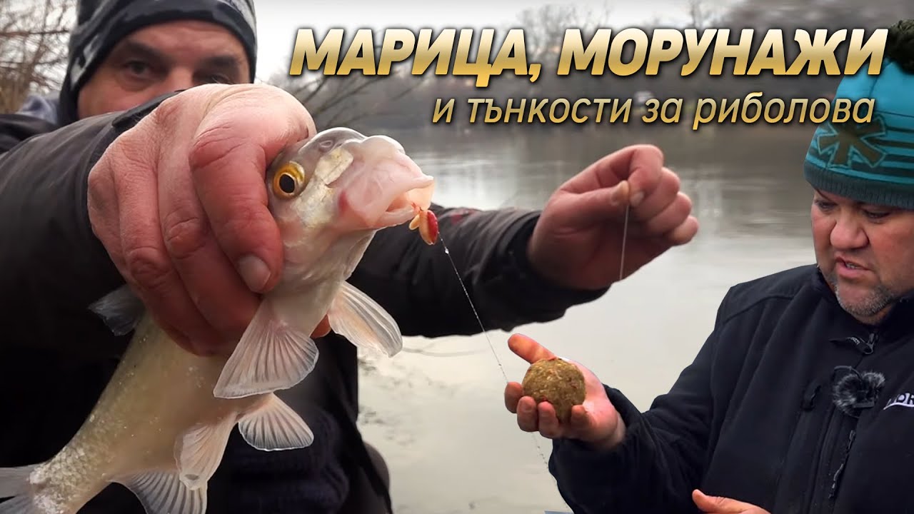 МАРИЦА, МОРУНАЖИТЕ и тънкости за риболова с БОЛОНЕЗА