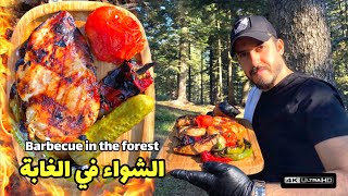 الشواء في الغابة ستيك دجاج على الفحم | شيف بينو  Grilled Chicken