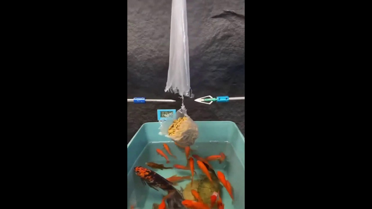 ИГРАЕМ НА СТРИМЕ ШОРТС