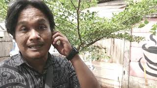 Review Ular kepala dua (ular piva)