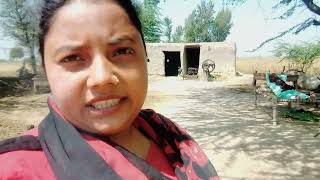 Sadaf Ch Aj Ma Kesi Lag Rahi Hun Sab Btao Jaldi New Village Life Vlog The Real Sadaf Ch