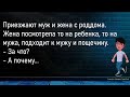 💎Ватсон Спрашивает У Шерлока...Большой Сборник Очень Смешных Анекдотов,Для Супер Настроения!