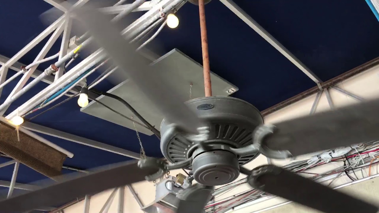 Wobbly Ceiling Fans 6, 7, 8, & 9 YouTube