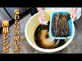 【塩蔵わらび】わらびの塩抜き方法と簡単レシピ