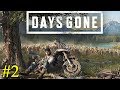 Days Gone ► Зомби ►#2