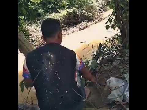 mancing-ikan-di-sungai-dapat-ikan-besar😱😱