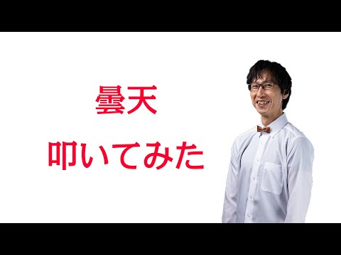 【叩いてみた】 曇天　/   DOES