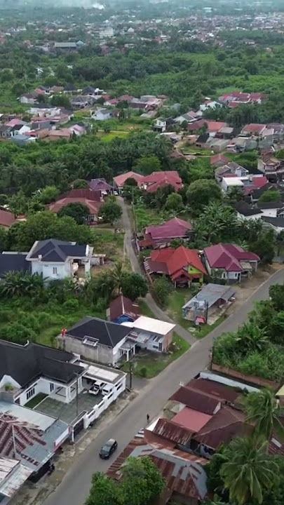 Gang Kerinci Grafika di Pematang Sulur Telanai Pura Jambi #dji