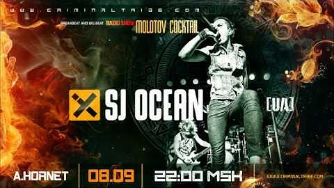 Molotov Cocktail #031 - Sj Ocean [UA] guest breakbeat mix (08.09.16)