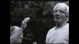 Monkey Business  - Piece of my life