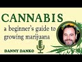Danny danko reveals secrets of growing topnotch cannabis  exclusive interview