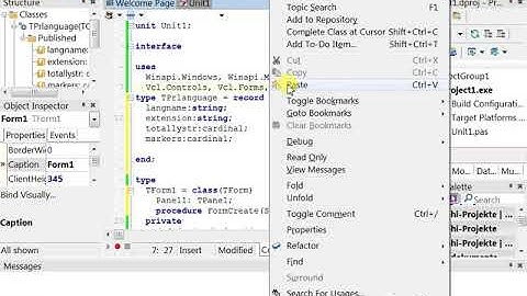 Syntax Detecting Delphi  Coding