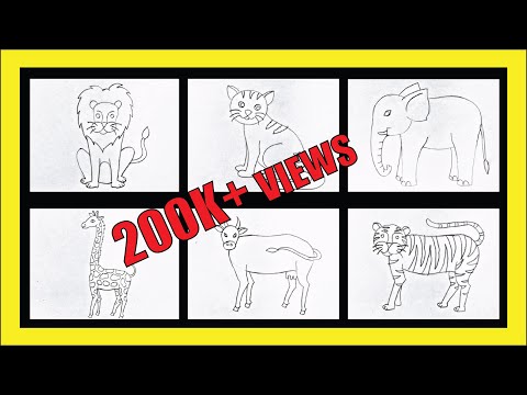 Video: How To Draw Wild Animals