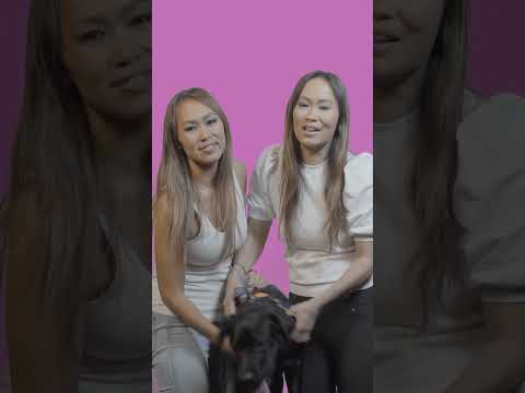 Video: Kada vežti darbingą šunį pas veterinarą?